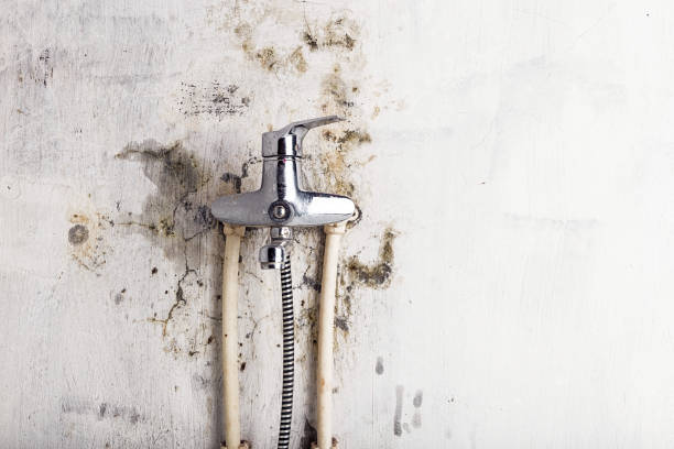 Water Damage Restoration in Erin, TN